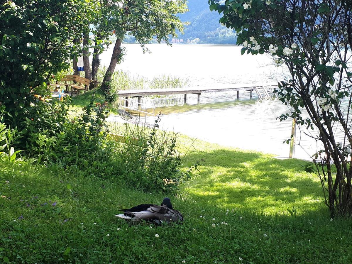 Maren Seeblick Appartement Haus Haensel&Gretel Direkt Am Ossiacher See Mit Hallenbad Stiegl Kültér fotó